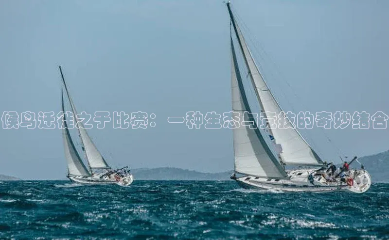 金年会电子游戏app