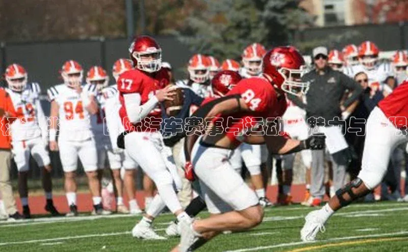 金年汇app官方网站下载安装